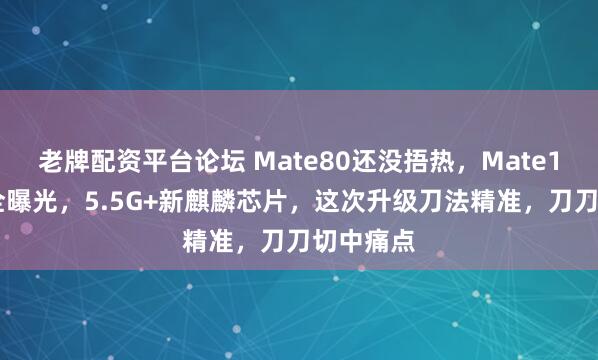 老牌配资平台论坛 Mate80还没捂热，Mate100配置全曝光，5.5G+新麒麟芯片，这次升级刀法精准，刀刀切中痛点